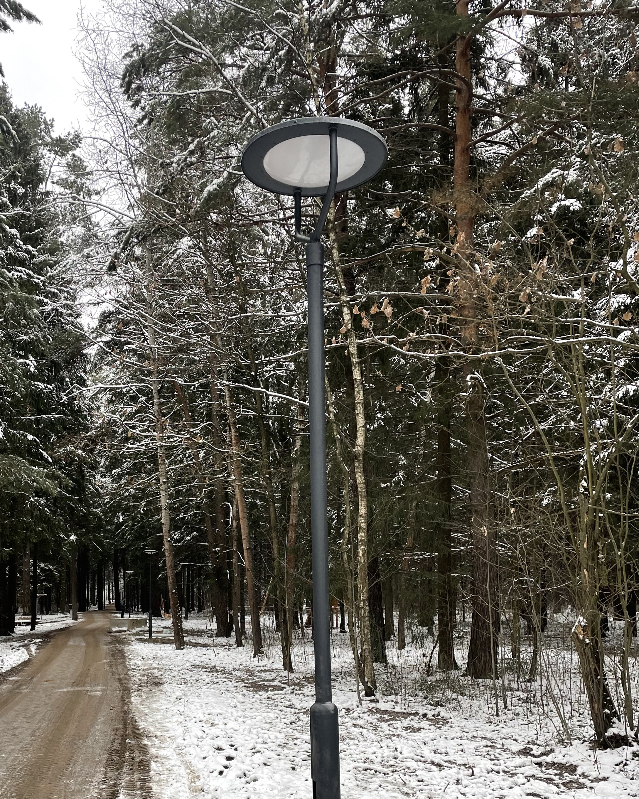 Уличный светильник Локтар Dorolight